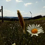 Mia Und Michel Im Sauerland