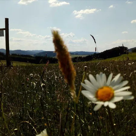 Mia Und Michel Im Sauerland