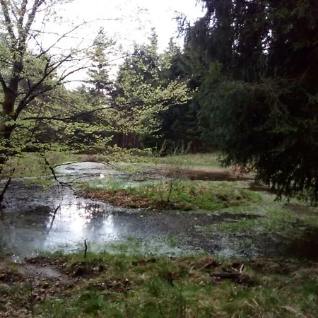 Mia Und Michel Im Sauerland Апартаменты