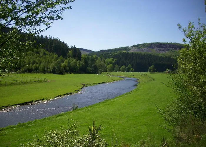 Mia Und Michel Im Sauerland 公寓 巴特贝勒堡