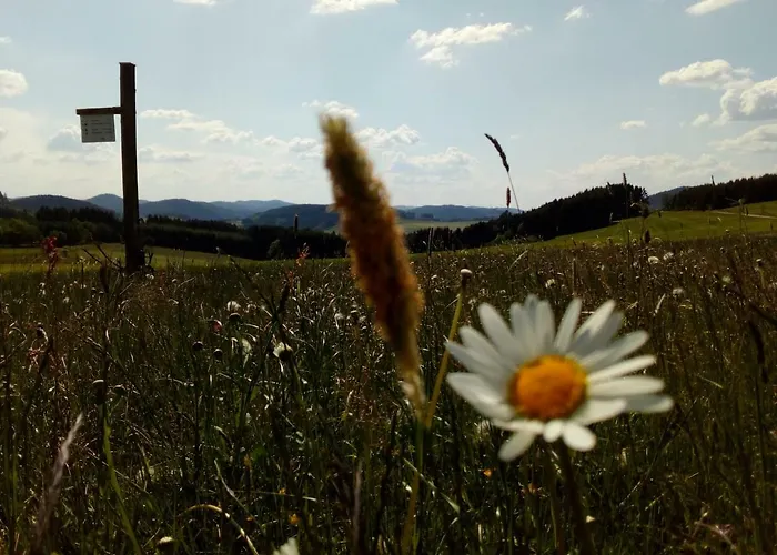 Mia Und Michel Im Sauerland
