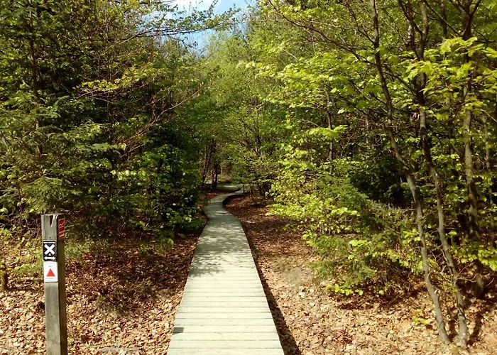 Mia Und Michel Im Sauerland 公寓 巴特贝勒堡