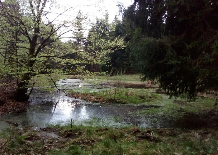 Mia Und Michel Im Sauerland 公寓