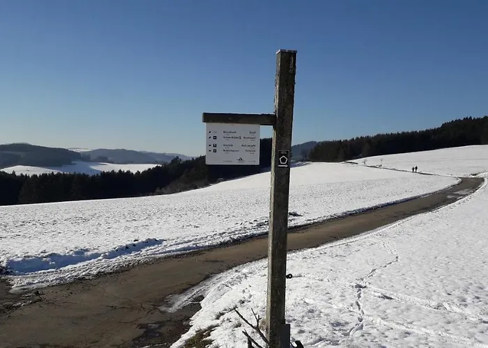 公寓 Mia Und Michel Im Sauerland 巴特贝勒堡