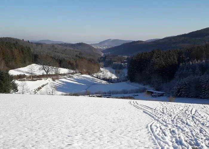 公寓 Mia Und Michel Im Sauerland 巴特贝勒堡